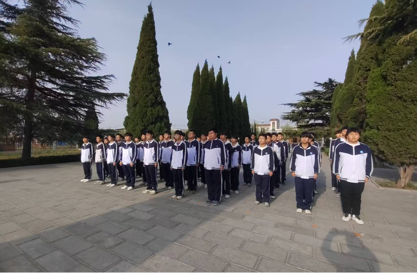 图片2.jpg